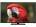 Videocon VKX50FH17FAH