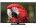 Videocon VKX50FH17FAH 50 inch (127 cm) LED Full HD TV