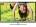 Videocon VJU40FH11CAH