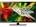 Videocon VJW32HH-2F