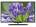 Videocon VKA24FX08MA