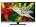 Videocon VJW20HH-2F