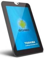 Toshiba ANT 100