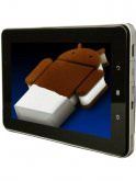 ViewSonic ViewPad E70 Price