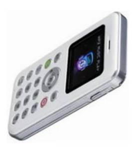 VK Mobile VK2010
