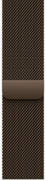 Apple Watch Series 12