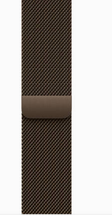 Apple Watch Series 12