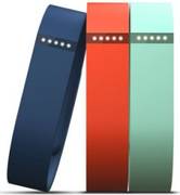 Fitbit Flex
