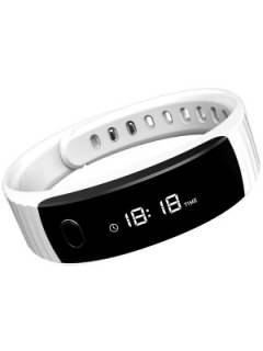 Intex FitRist
