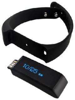 Merlin ActiFit