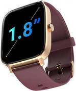 Noise ColorFit Icon 2