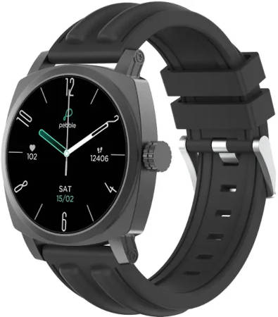 Pebble Endure 2