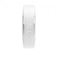 Polar Loop 2