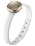 Samsung Smart Charm
