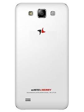 White Cherry MI Lotus