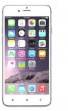 White Cherry MI1