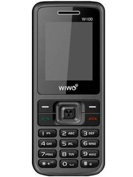 WIWO W100