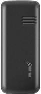 WIWO W100
