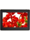 Xelectron W99 Price