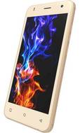 Zen Admire Dragon