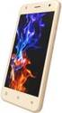 Zen Admire Dragon