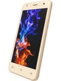 Zen Admire Dragon Price