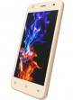 Zen Admire Dragon