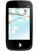 Zen P40 price in India