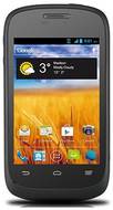 ZTE Director