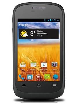 ZTE Director