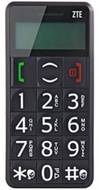 ZTE S302
