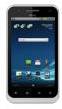 ZTE V880E